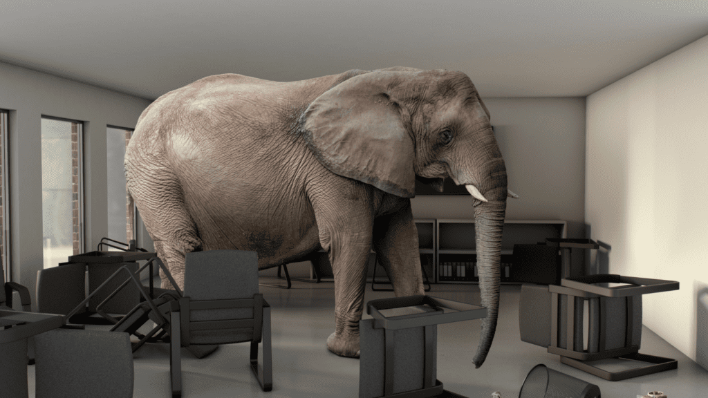 Elephant in the room.